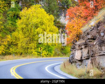 États-Unis, Utah, Logan Pass et Highway 89 automne couleur avec Aspen et Maple Trees Banque D'Images