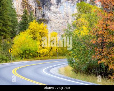 États-Unis, Utah, Logan Pass et Highway 89 automne couleur avec Aspen et Maple Trees Banque D'Images