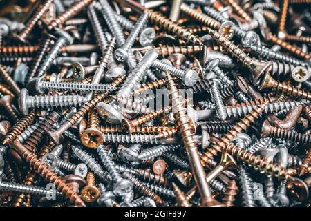 Gros plan sur beaucoup de vis. Macro de différents types de vis. Jeu de vis. Abstraction de construction. Arrière-plan industriel. Vis à tôle ma Banque D'Images