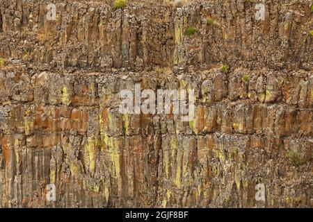 Motif sur les falaises de basalte, parc national de Palouse Falls, Franklin, comté de Whitman, État de Washington. Banque D'Images