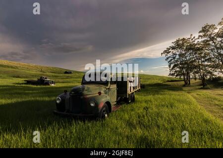 Vieux camion rouillé abandonné dans le champ agricole, région de Palouse, dans l'est de l'État de Washington. (Usage éditorial uniquement) Banque D'Images