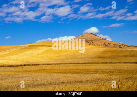 États-Unis, État de Washington, la Palouse, Steptep Butte Banque D'Images