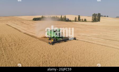 Vue aérienne d'une moissonneuse-batteuse John Deere coupant du blé un après-midi ensoleillé, comté de Spokane, État de Washington. (PR) Banque D'Images