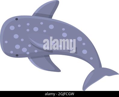 Vecteur de dessin animé de l'icône de requin-baleine géant. Poisson de mer. Animal de l'océan Illustration de Vecteur