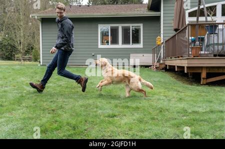 Golden Retriever de neuf mois à la poursuite de son propriétaire qui a le ballon, à travers l'herbe humide, jetant des gouttelettes d'eau. (PR,MR) Banque D'Images