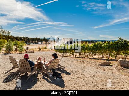 États-Unis, État de Washington, gorge de la rivière Columbia. Couple aime prendre le soleil dans un vignoble à la gorge de la rivière Columbia avec Mt. Capot dans l'arrière-cour. Banque D'Images