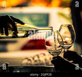 États-Unis, État de Washington, Seattle. Un verre de vin blanc reflète un jour de printemps dans un domaine viticole de Seattle. Banque D'Images