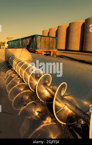 États-Unis, État de Washington, Walla Walla. Les raisins de vin rouge sont traités dans une machine à broyer en acier inoxydable. Banque D'Images
