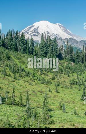 Etat de Washington, Mt. Parc national de Rainier, Mt. Rainier Banque D'Images