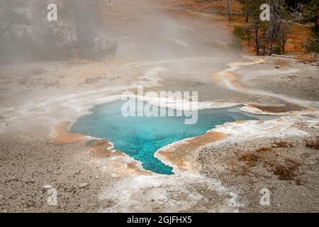 Blue star Spring, Upper Geyser Basin, parc national de Yellowstone, Wyoming Banque D'Images