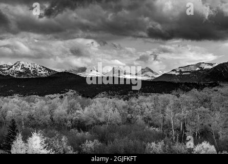 États-Unis, Wyoming. Tombez les arbres Aspen et les montagnes Teton vus de l'ouest Banque D'Images