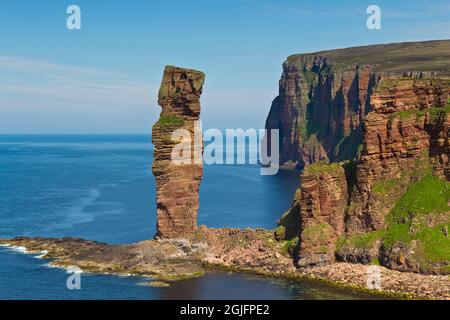 1 000 pieds de haut falaises et pile de mer, île de Hoy, Orkney Banque D'Images