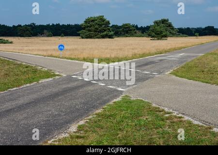 Passage à vélo dans le parc national néerlandais de Hoge Veluwe dans la province de Gelderland Banque D'Images