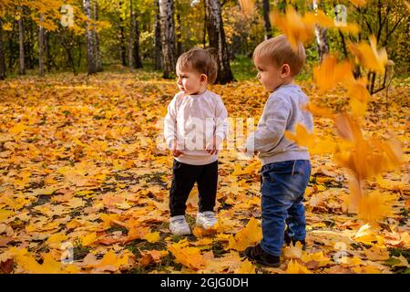 Les enfants gais attrapent des feuilles d'érable tombant dans le parc de la ville d'automne. Banque D'Images