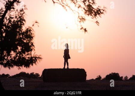 silhouette d'une femme dans le champ sur une balle de paille au coucher du soleil avec le soleil derrière elle et branches d'arbre sur les côtés. Image chaude. Banque D'Images