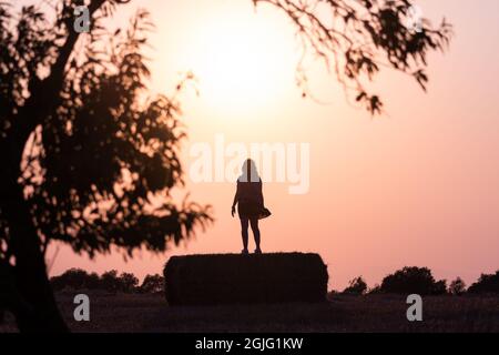 silhouette d'une femme dans le champ sur une balle de paille au coucher du soleil avec le soleil derrière elle et branches d'arbre sur les côtés. Image chaude. Banque D'Images