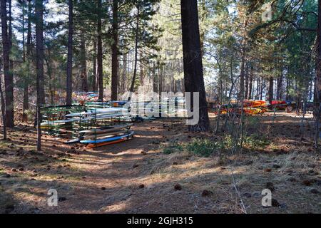 VILLAGE INCLINÉ, NV –11 APR 2021- des casiers de kayaks et planches de surf colorés dans les bois sur la rive du lac Tahoe. Banque D'Images