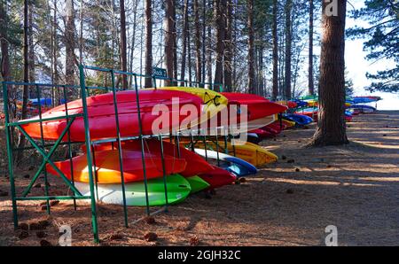 VILLAGE INCLINÉ, NV –11 APR 2021- des casiers de kayaks et planches de surf colorés dans les bois sur la rive du lac Tahoe. Banque D'Images