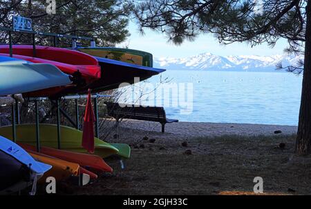 VILLAGE INCLINÉ, NV –11 APR 2021- des casiers de kayaks et planches de surf colorés dans les bois sur la rive du lac Tahoe. Banque D'Images