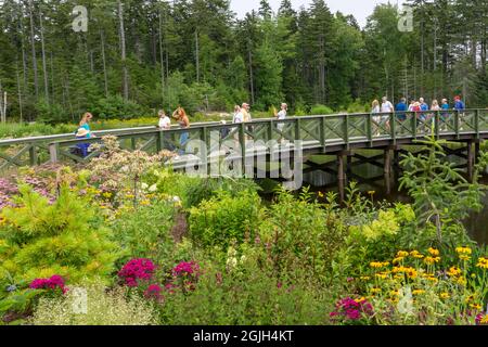 Port de Boothbay, Maine, États-Unis. Passerelle aux jardins botaniques côtiers du Maine. Banque D'Images