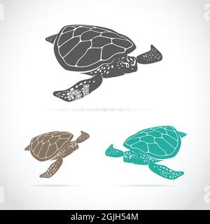 Image vectorielle d'une tortue sur fond blanc. Illustration vectorielle superposée facile à modifier. Animaux sauvages. Illustration de Vecteur