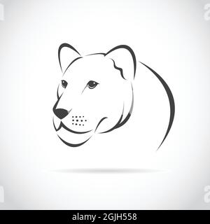 Image vectorielle d'une tête de lion femelle sur fond blanc. Illustration vectorielle superposée facile à modifier. Animaux sauvages. Illustration de Vecteur