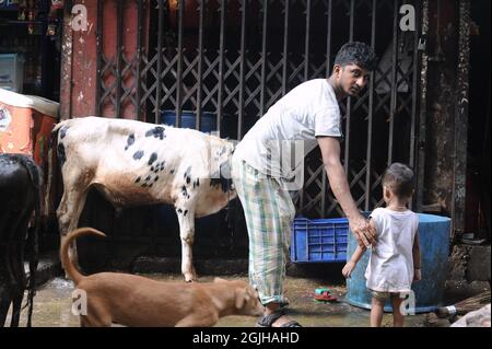 Dhaka, Bangladesh. 09e septembre 2021. La vie quotidienne dans le camp de Bihari est devenue beaucoup plus normale qu'auparavant. On croit que la vie reviendra à la normale si les écoles et les collèges rouvriront cette semaine. (Photo d'Alvaro Laguna/Pacific Press) crédit: Pacific Press Media production Corp./Alay Live News Banque D'Images