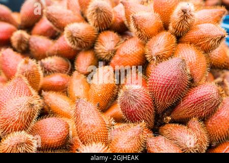 Fruit frais rouge Salak, Salacca zalacca nature fond Banque D'Images