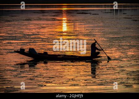 Srinagar, Inde. 09e septembre 2021. Un boatman décale son bateau à travers le lac Dal pendant le coucher du soleil à Srinagar. (Photo de Saqib Majeed/SOPA Images/Sipa USA) crédit: SIPA USA/Alay Live News Banque D'Images