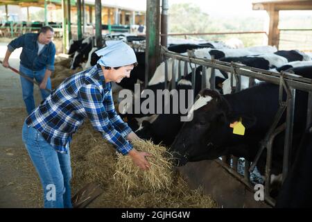 Souriante femme nourrissant des vaches à la ferme Banque D'Images