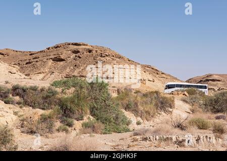 Un seul bus de visite blanc garé dans le désert au printemps Ein Saharonim dans le cratère de Makhtesh Ramon en Israël avec un ciel bleu clair Banque D'Images