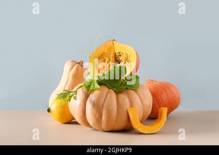 Citrouilles biologiques sur fond moderne et coloré. Récolte d'automne en composition solde créative pour le jour de Thanksgiving ou la fête d'Halloween. Banque D'Images