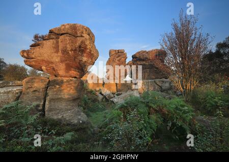 Formations rocheuses de Millstone GRIT à Brimham Rocks à Niddoworth, North Yorkshire, Royaume-Uni Banque D'Images