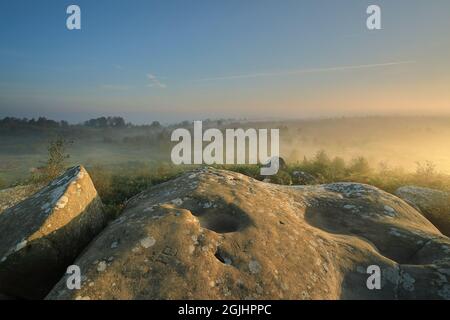 La brume de l'aube entoure les formations rocheuses de Brimahm Rocks à Niddown, dans le North Yorkshire, au Royaume-Uni Banque D'Images