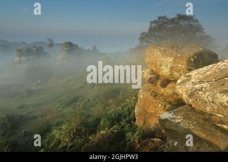 La brume de l'aube entoure les formations rocheuses de Brimahm Rocks à Niddown, dans le North Yorkshire, au Royaume-Uni Banque D'Images