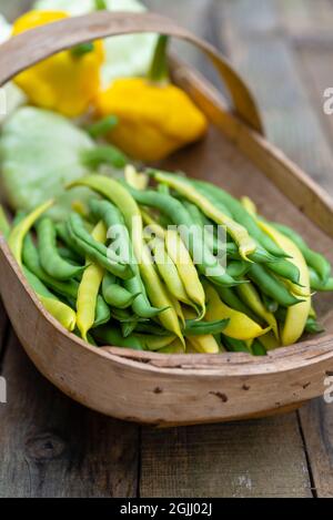 Un troug de Sussex rempli de haricots français jaunes et verts grimpants et de patty de courge jaune et blanche. Banque D'Images