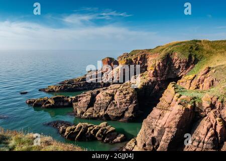 Falaises de grès le long du sentier côtier Angus près de la ville d'Arbroath, Angus, Écosse Banque D'Images