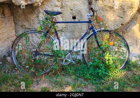 Vieux vélo abandonné trop cultivé avec de l'herbe. Extérieur du jardin Banque D'Images