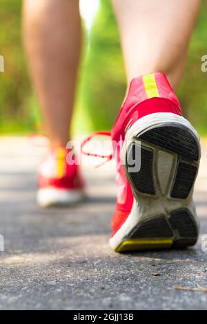 Les jambes des femmes sont en baskets rouge vif tout en faisant du jogging dans le parc sur la route par une journée ensoleillée en été. Mise au point sélective Banque D'Images