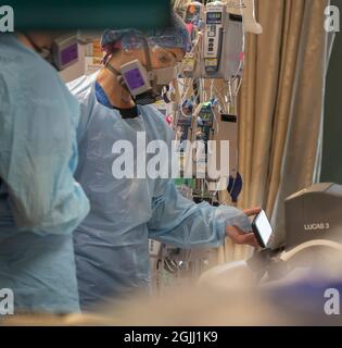 L'infirmière autorisée Sarah Schwarzkoff tient un téléphone pour qu'un membre de sa famille puisse parler à un patient en train de mourir du COVID-19 à l'hôpital Morton Plant de Clearwater, en Floride, le mercredi 25 août 2021. (Photo de John Pendygreft/Tampa Bay Times/TNS/Sipa USA) Banque D'Images