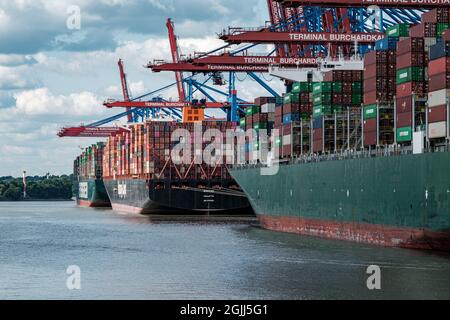 HAMBOURG, ALLEMAGNE - 24 août 2021 : les trois grands navires à conteneurs Theseus, Ever Grade et Barzan sont chargés dans le port de Hambourg Banque D'Images