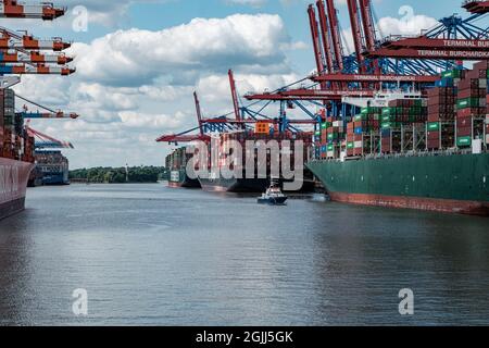 HAMBOURG, ALLEMAGNE - 24 août 2021 : les trois grands navires à conteneurs Theseus, Ever Grade et Barzan sont chargés dans le port de Hambourg Banque D'Images