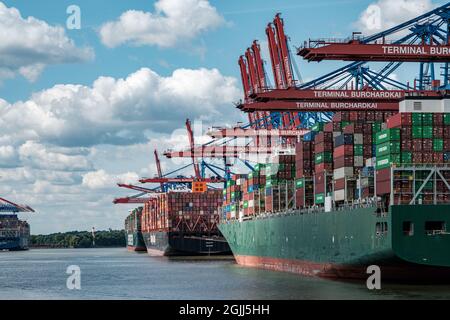 HAMBOURG, ALLEMAGNE - 24 août 2021 : les trois grands navires à conteneurs Theseus, Ever Grade et Barzan sont chargés dans le port de Hambourg Banque D'Images