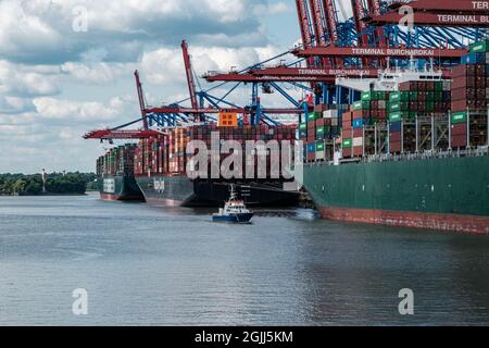 HAMBOURG, ALLEMAGNE - 24 août 2021 : les trois grands navires à conteneurs Theseus, Ever Grade et Barzan sont chargés dans le port de Hambourg Banque D'Images