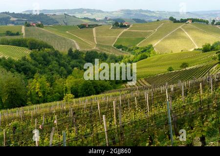 Paysage rural au printemps à Langhe près de Dogliani, province de Cuneo, Piémont, Italie, site du patrimoine mondial de l'UNESCO. Banque D'Images
