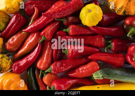 arrière-plan de légumes biologiques colorés gros plan, courge, courgettes et poivre, récolte d'automne Banque D'Images