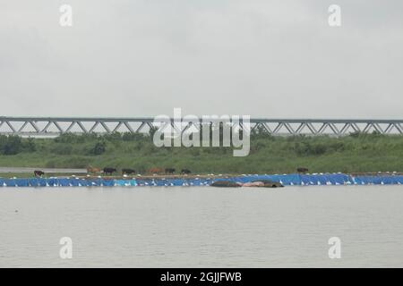 19 juin 2021, chemin Approach, Mawa, Bangladesh. Pont Padma au milieu de la beauté naturelle étonnante de la rivière Padma Banque D'Images