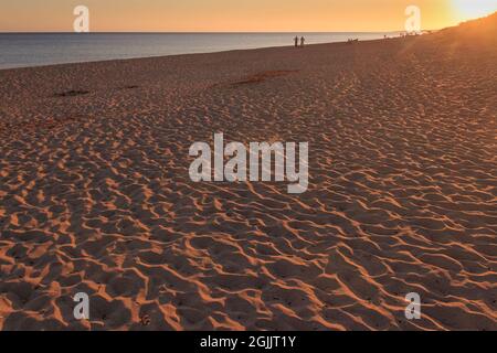 Plage de sable typique avec des dunes à Puglia, Italie: La plage de San Pietro à Bevagna est une oasis naturelle en face de la mer Ionienne bleue de Salento. Banque D'Images