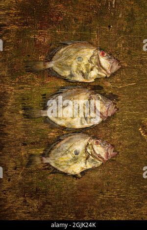 Un triptyque photographique d'art de john dorey poisson Banque D'Images