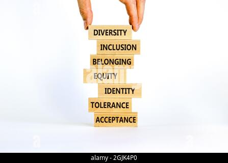 Diversité, symbole d'inclusion. Diversité d'appartenance inclusion équité tolérance d'identité mots d'acceptation écrits sur un bloc de bois. Magnifique backgro blanc Banque D'Images